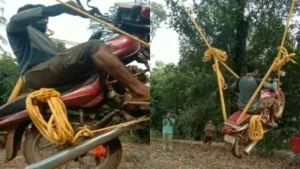 untitled-design-2024-05-22t154003-1716372604