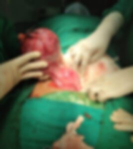 Picsart_24-06-07_14-13-36-883