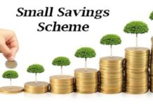 Small Saving Scheme, Saving Scheme, Small Saving Scheme Interest