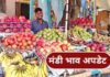 Mandi Bhav, Mandi Bhav 21 June, Fruit Rate