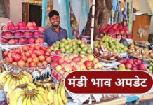 Mandi Bhav, Mandi Bhav 21 June, Fruit Rate