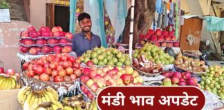 Mandi Bhav, Mandi Bhav 21 June, Fruit Rate