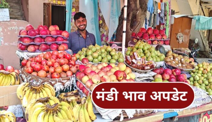 Mandi Bhav, Mandi Bhav 21 June, Fruit Rate