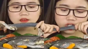 untitled-design-2024-06-14t100759-1718340076