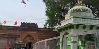 Bhojshala Mandir, Masjid, Bhojshala Survey Explainer, Kamaal Maula Masjid Survey