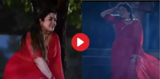 Viral Video, Bhojpuri Songs Viral, Bhojpuri Songs Views, Aane Wala Hai Sanam Sogs, Amarapali Dubey