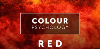 Color Personality Test, Color Psychology, Psychological Traits, Personality Traits, Personality Test