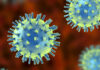 Chandipura Virus alert, Virus Infection, Chandipura Virus Infection, Chandipura virus, Virus Attack, Virus Alert