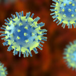 Chandipura Virus alert, Virus Infection, Chandipura Virus Infection, Chandipura virus, Virus Attack, Virus Alert