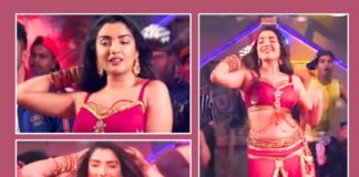 Bhojpuri Viral Songs, Bhojpuri Songs, Viral Video, Amrapali Dubey