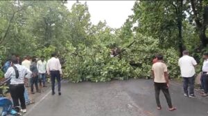 Balrampur News, Breaking News, Balram Breaking, Chhattisgarh News