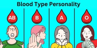 Blood Group Personality, Human Personality, Personality Traits, Personality Behaviour