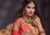 Sapna Chaudhari, Sapna Chaudhary, Sapna Chaudhary FIR