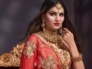 Sapna Chaudhari, Sapna Chaudhary, Sapna Chaudhary FIR