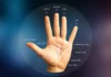 Palmistry, Palmistry Prediction