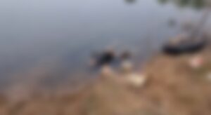 Picsart_24-12-25_17-04-15-706