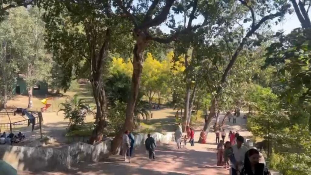 20251230 1059584754477426528260970