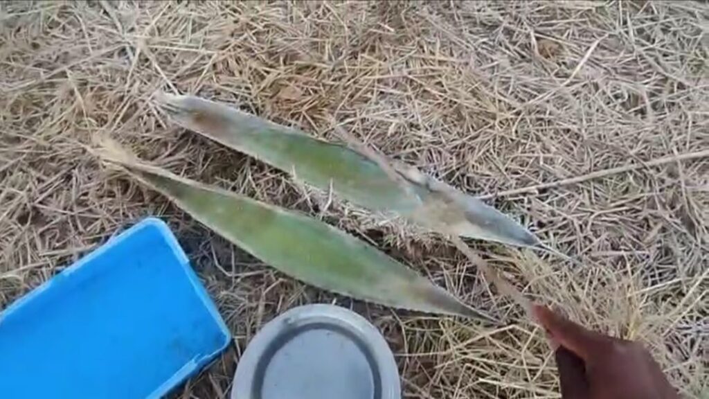 screenshot 20260109 0958499197268163763659465