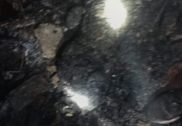 2026-02-05-21-08-01-664