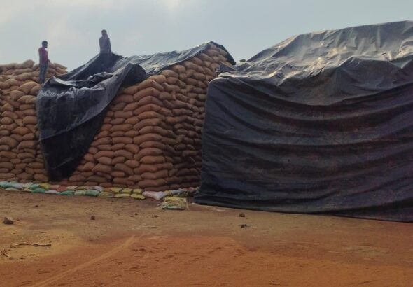 2569e5bf5885683a459f153cc0e3e55f_12699603