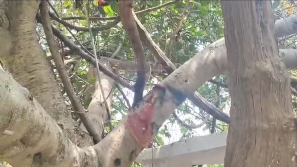 20260406 2140131793218934065104808