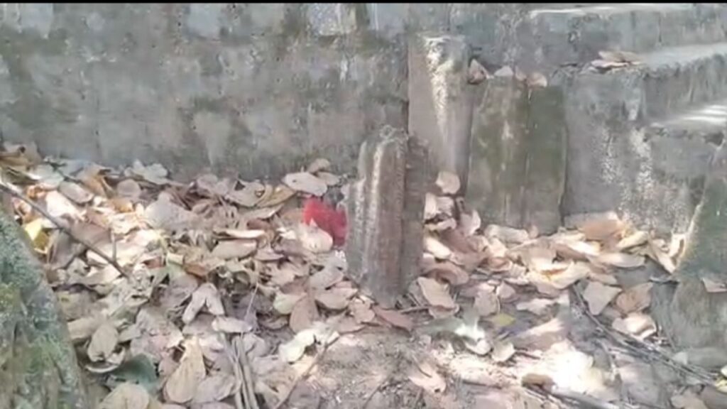 20260406 2140242165910173897550955