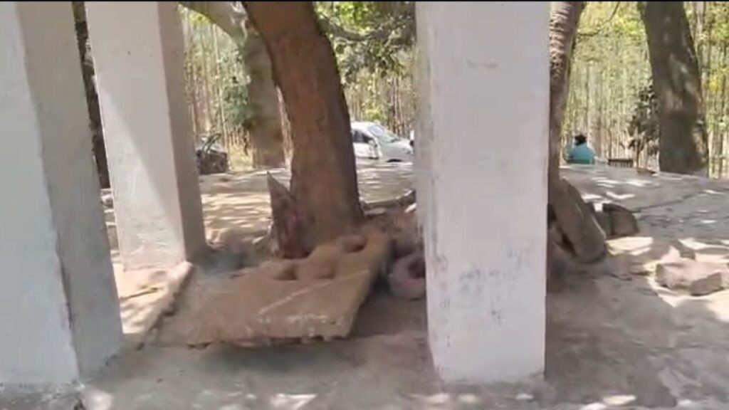 20260406 21404949986610374558958