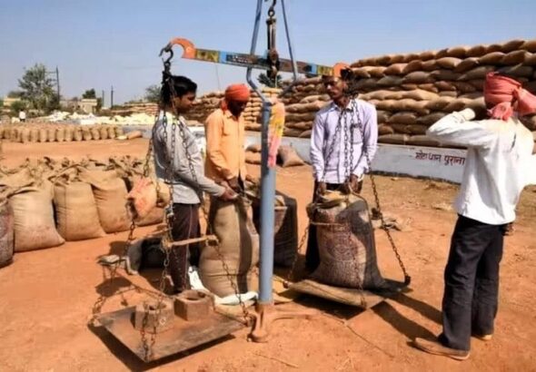 cg-dhan-kharidi-news