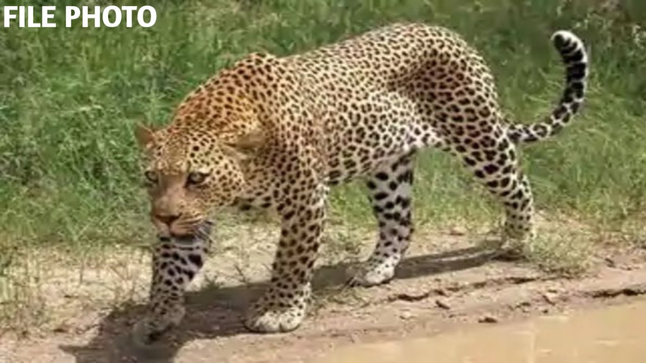 20260523_114547
