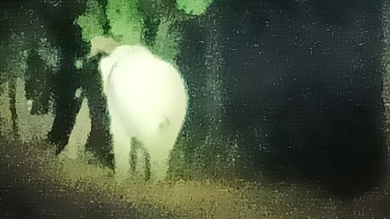 20260525_104629